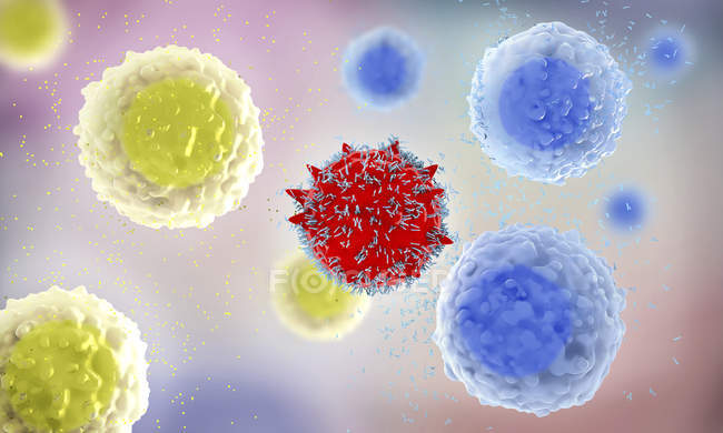 3D-Illustration weißer Blutkörperchen Leukozyten, die Antikörper ausschütten, um das Allergen im menschlichen Körper zu zerstören. — Stockfoto