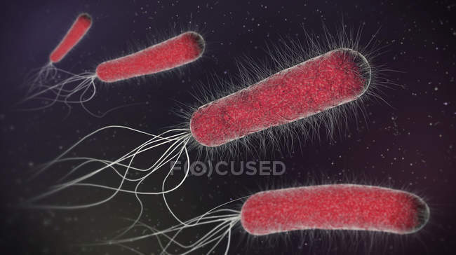Ilustração 3d de bactérias vermelhas em forma de haste . — Fotografia de Stock