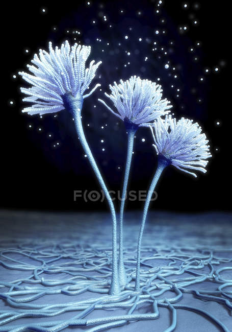Abstrakter Pilz, wissenschaftliche digitale Illustration. — Stockfoto