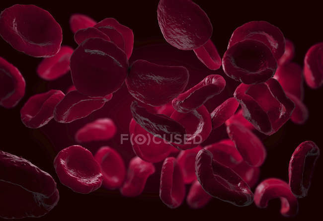 Illustrazione 3d degli eritrociti dei globuli rossi
. — Foto stock