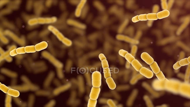 Бактерії, що володіють стрептококом, цифрова ілюстрація. — стокове фото