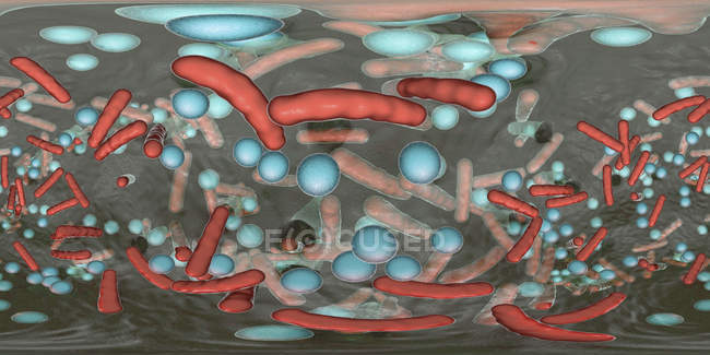 Bacterias esféricas y en forma de barra dentro del biofilm, panorama de 360 grados, ilustración digital
. — Stock Photo
