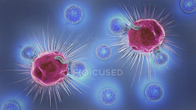 Illustrazione 3d dei linfociti che attaccano le cellule tumorali nel corpo umano . — Foto stock