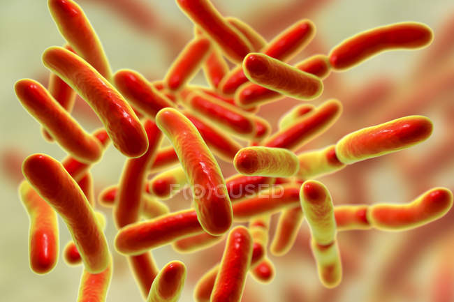 Бактерії, що володіють цифровими ілюстрацією. — стокове фото