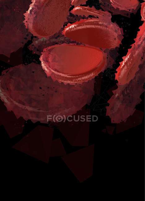Rote Blutkörperchen, abstrakte digitale Illustration. — Stockfoto