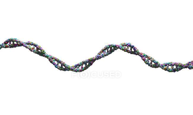 Faixa de DNA contra fundo branco, ilustração digital . — Fotografia de Stock