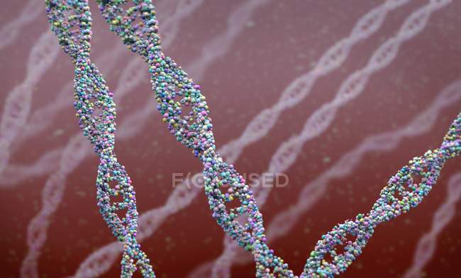 Filoni di DNA, illustrazione digitale scientifica concettuale
. — Foto stock