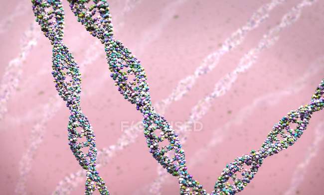 Струни ДНК на рожевому фоні, цифрова ілюстрація . — стокове фото