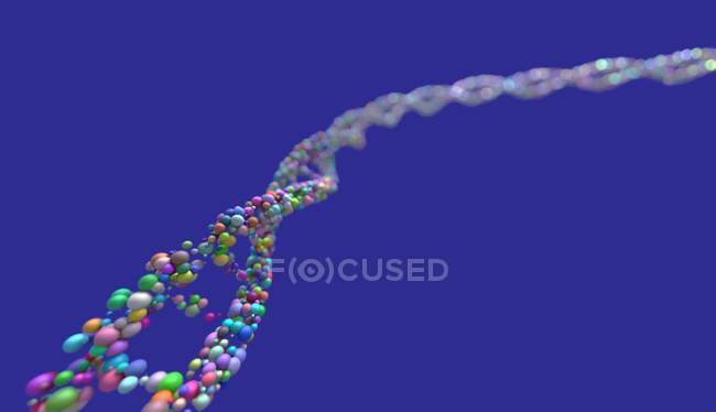 ДНК на синем фоне, цифровая иллюстрация
. — стоковое фото