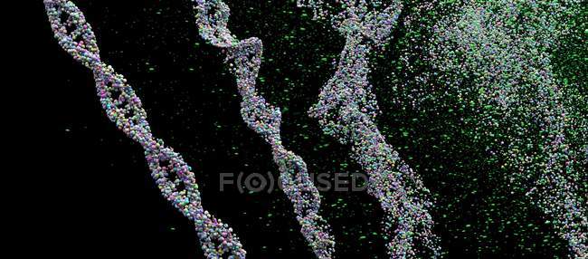 DNA strands breaking into atoms, digital illustration. — Stock Photo