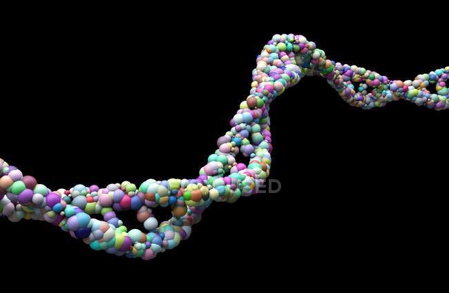 Brin ADN sur fond noir, illustration numérique
. — Photo de stock