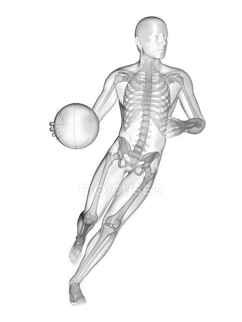 Menschliche Silhouette beim Basketballspielen mit sichtbarer Skelettstruktur, digitale Illustration. — Stockfoto