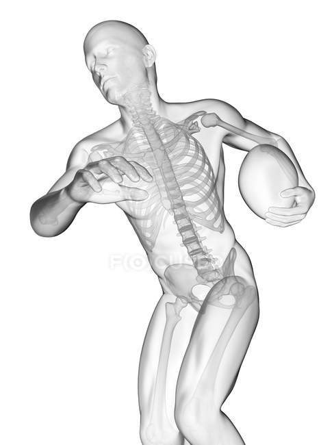 Skelettsystem eines Rugby-Spielers, digitale Illustration. — Stockfoto