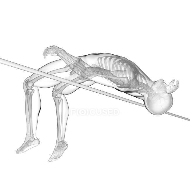 High jumper skeletal system, digital illustration. — Stock Photo