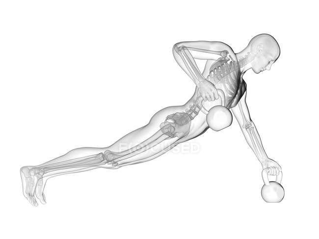 Campane per il sollevamento di sagome umane con sistema scheletrico visibile, illustrazione digitale . — Foto stock