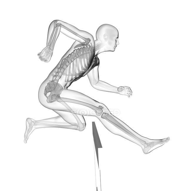 Silhouette umana ostacolo con sistema scheletrico visibile, illustrazione digitale . — Foto stock