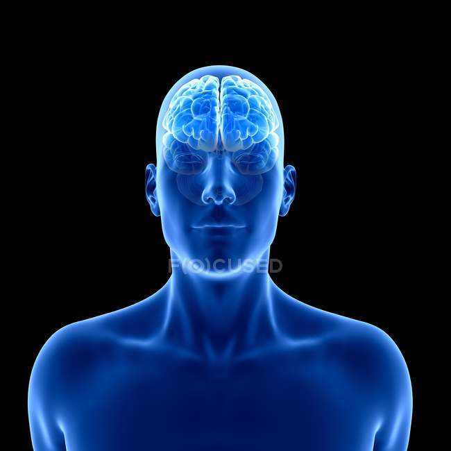 Silueta humana azul con cerebro visible sobre fondo negro, ilustración digital . - foto de stock