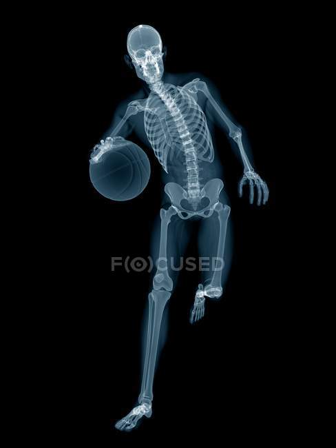 Basketball player skeletal structure, digital illustration on black background. — Stock Photo