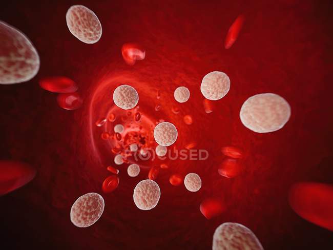 Cholesterol in human blood, digital illustration. — Stock Photo