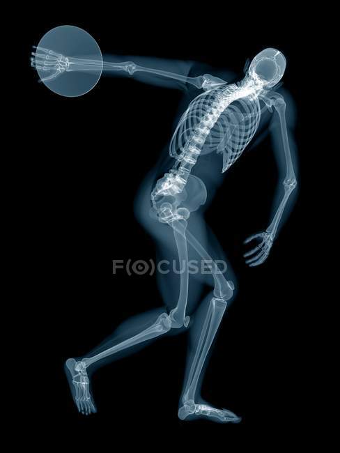 Discus thrower skeletal system, digital illustration. — Stock Photo