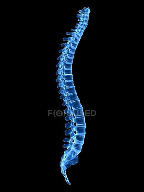 Blue human spine on black background, digital illustration. — Stock Photo