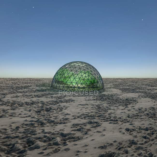Dôme géodésique contenant des arbres en terrain aride, généré numériquement
. — Photo de stock