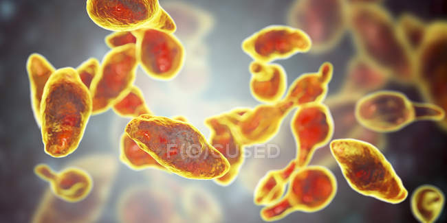 Мікоплазма геніталій паразитичних бактерій, цифрова ілюстрація . — стокове фото