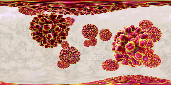 Частинки вірусу гепатиту в у 360 панорамний вид, кольорова ілюстрація. — стокове фото