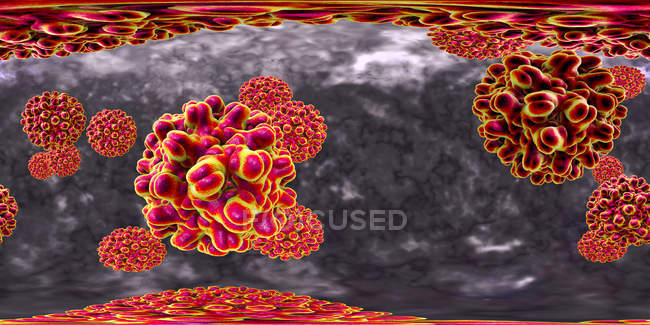 Partículas del virus de la hepatitis B en vista panorámica de 360 grados, ilustración digital coloreada
. - foto de stock