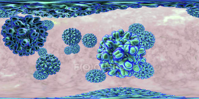 Частинки вірусу гепатиту B у 360 градусів панорамного вигляду, кольорова цифрова ілюстрація . — стокове фото