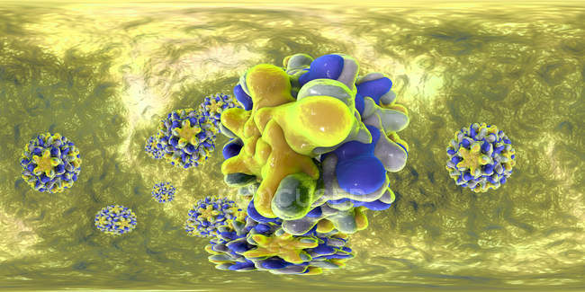 Partículas del virus de la hepatitis B en vista panorámica de 360 grados, ilustración digital coloreada . - foto de stock