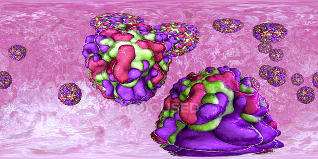 Барвисті частинки риновіруси в 360-градусний панорамний вид, цифрова ілюстрація. — стокове фото
