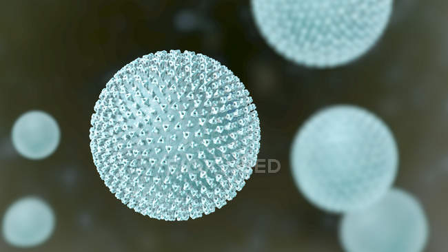 Partículas del virus del sarampión, ilustración digital . - foto de stock