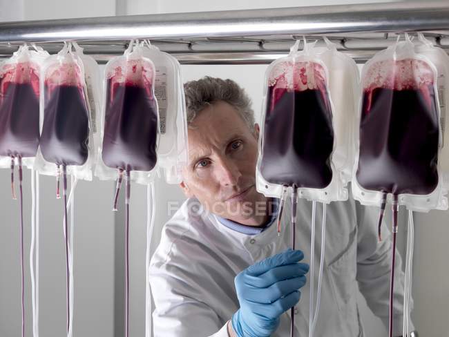 Зрілий чоловік обробляє донорську кров у сумках.. — стокове фото