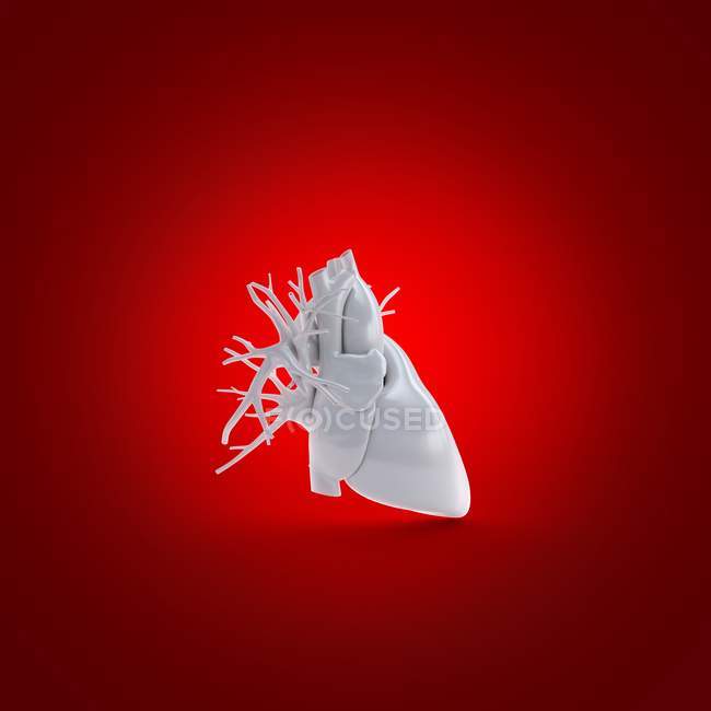 Сіра модель людського серця на червоному тлі, комп'ютерна ілюстрація . — стокове фото