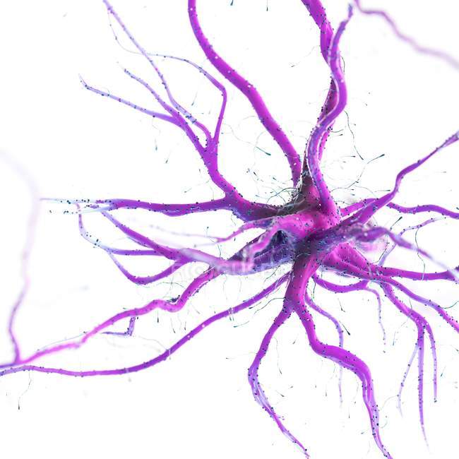 Pink colored nerve cell on white background, digital illustration. — стокове фото