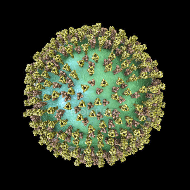 Masern-Viruspartikel, Computerillustration. — Stockfoto