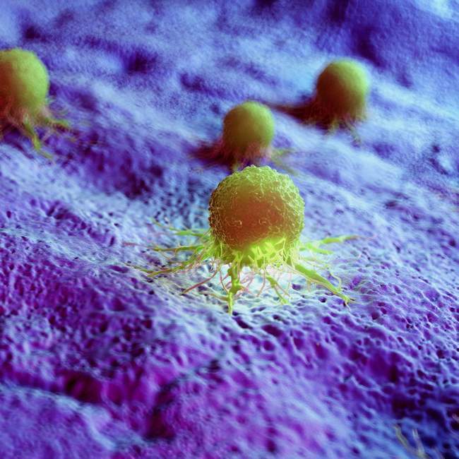 Abstract green colored cancer cells on tissue, digital illustration. — Stock Photo
