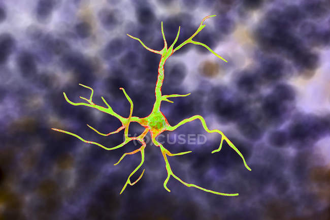 Астроцити гліальні нервові клітини, цифрова ілюстрація. — стокове фото