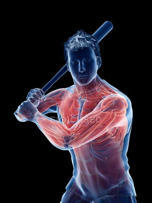Männliche Baseballspieler-Muskeln beim Halten eines Schlägers, Computerillustration. — Stockfoto