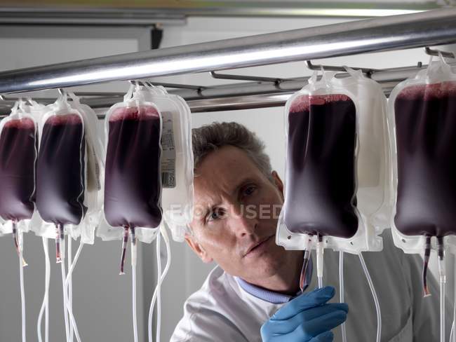 Зрелый мужчина врач обрабатывает донорскую кровь в мешках . — стоковое фото