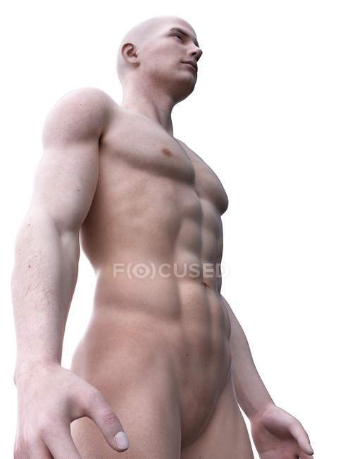 Abstract silhouette of muscular man, digital illustration. — Stock Photo