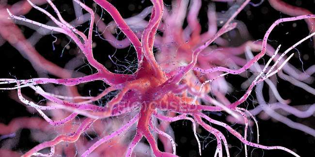 Célula nervosa de cor vermelha sobre fundo escuro, ilustração digital . — Fotografia de Stock