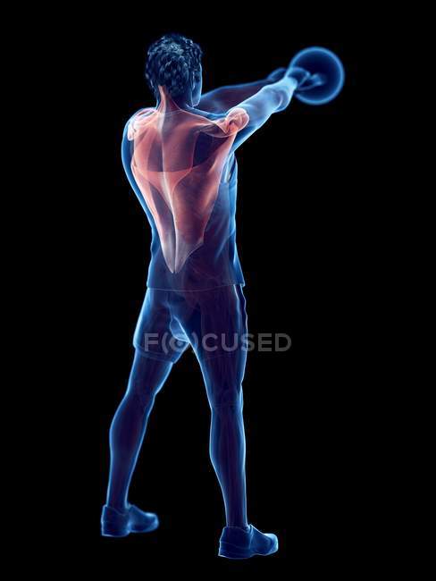 Muscolatura dell'uomo che fa allenamento kettlebell, illustrazione digitale concettuale . — Foto stock
