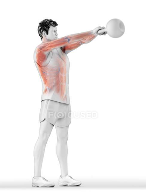 Musculatura do homem fazendo kettlebell treino, ilustração digital conceitual . — Fotografia de Stock