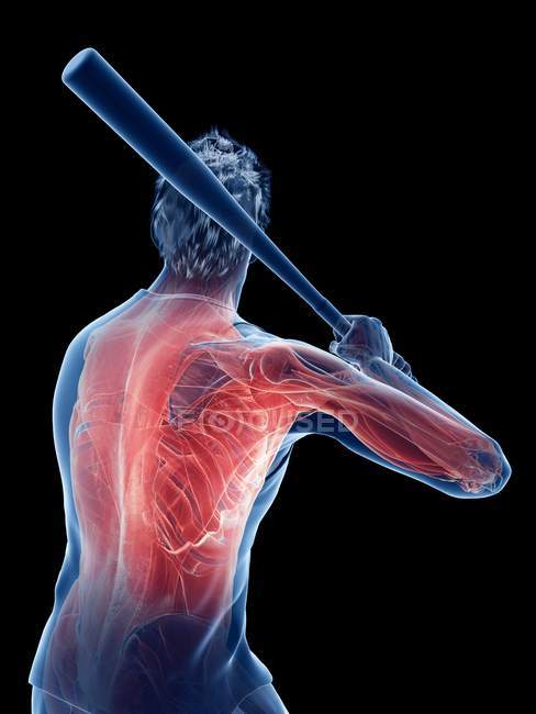 Male baseball player muscles while holding bat, computer illustration. — Stock Photo