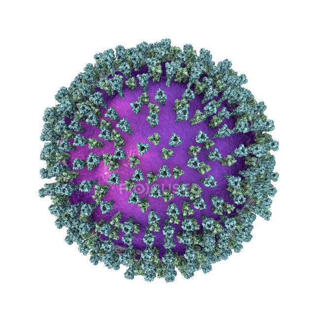 Частинка вірусу кору, комп'ютерна ілюстрація . — стокове фото