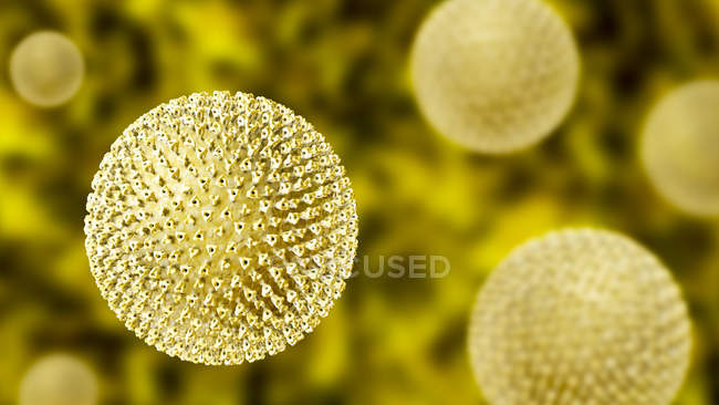 Particule du virus de la rougeole, illustration informatique
. — Photo de stock