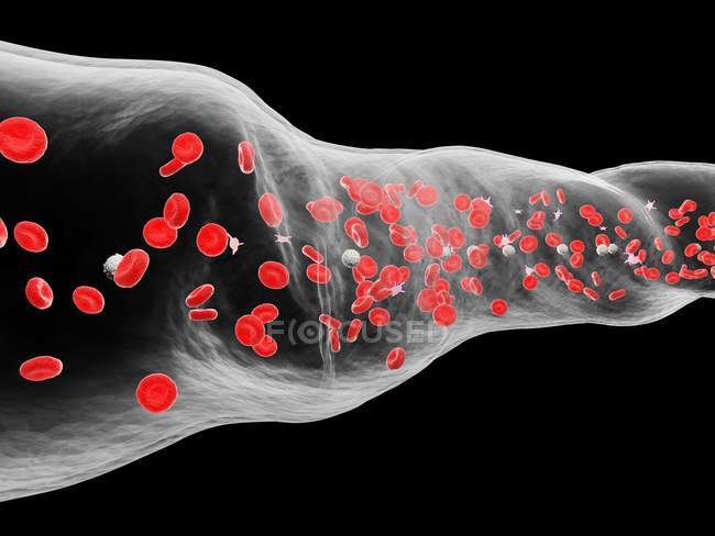 Vaso sanguigno astratto con globuli bianchi e rossi, illustrazione digitale
. — Foto stock