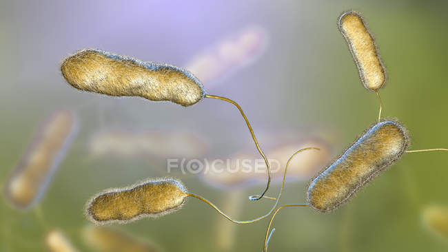 Digital illustration of Legionella pneumophila bacteria, cause of Legionnaires disease. — Stock Photo